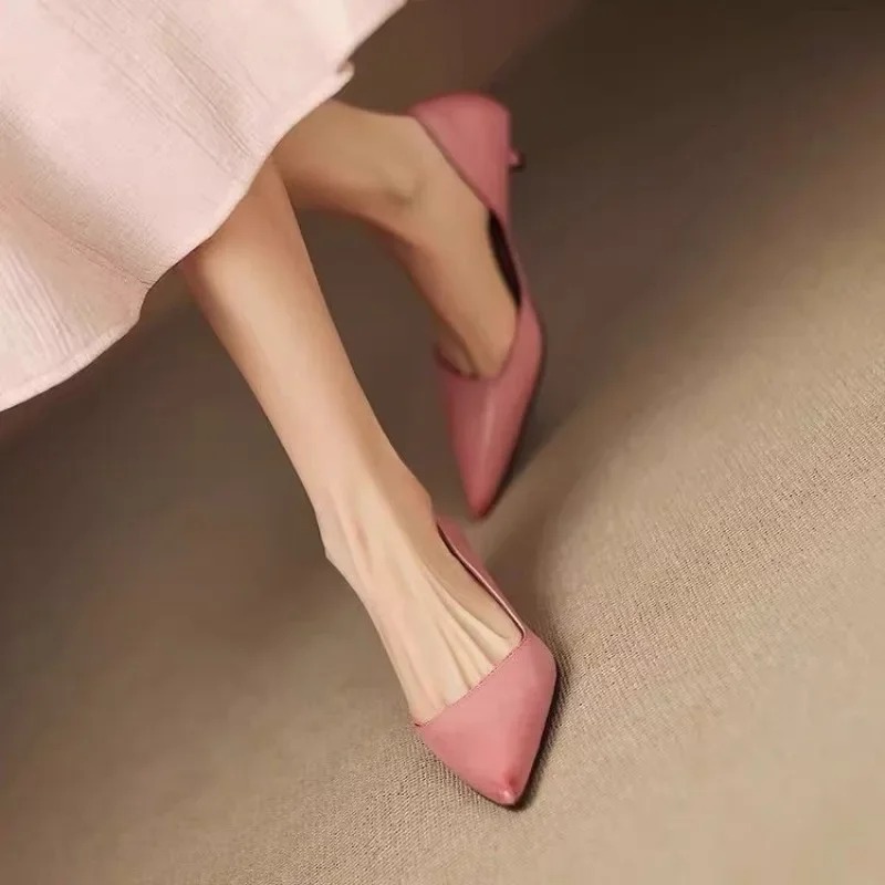 Women's Pointed Toe Stiletto H - đánh giá và giá Womens Heels